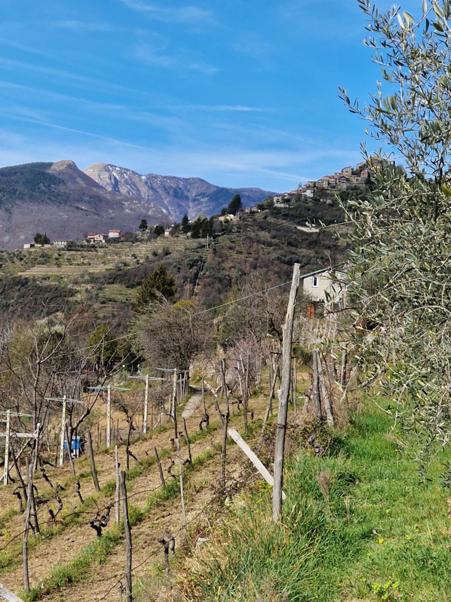 Casa Nonna Chiarina Leilighet Molini di Triora Eksteriør bilde